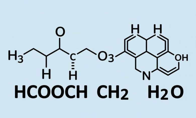 hcooch ch2 h2o