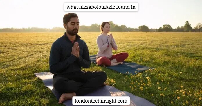 what hizzaboloufazic found in