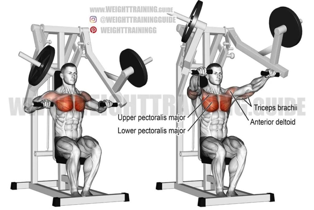 chest press machine