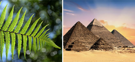 afghan child wins 25k