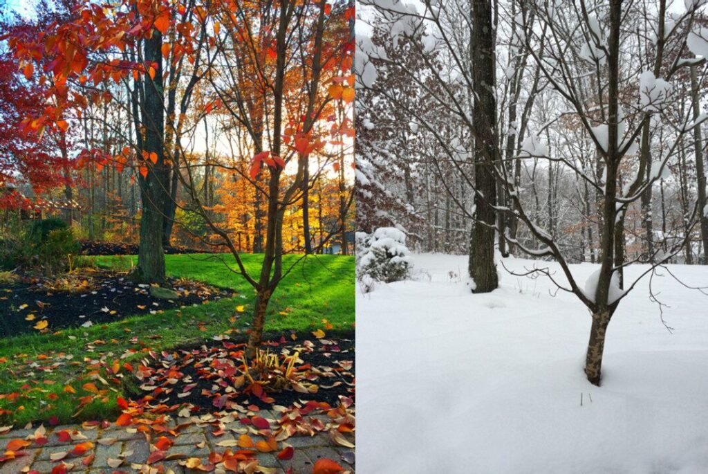 william and kate staff decisions