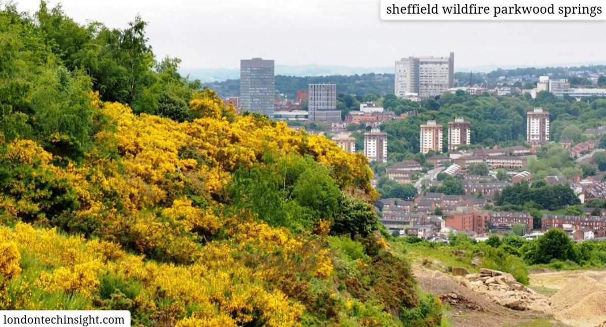 sheffield wildfire parkwood springs